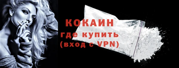 шишки Дмитриев