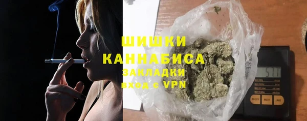 мдпв Дмитровск