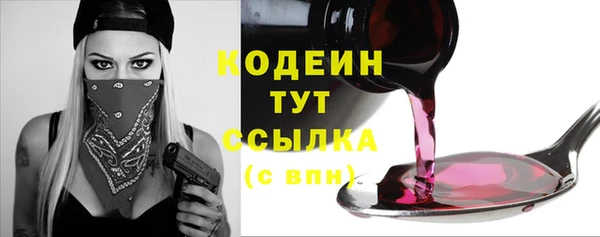 амф Осташков