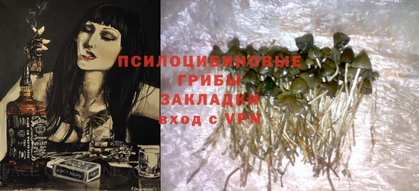 шишки Дмитриев