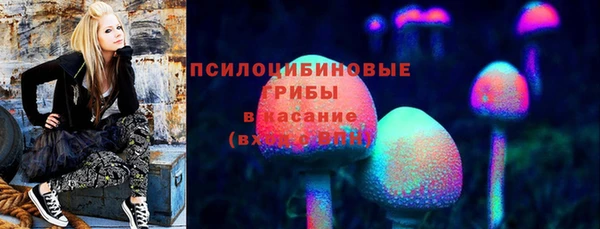 мдпв Дмитровск