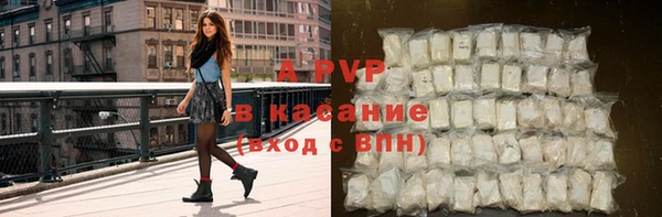 шишки Дмитриев